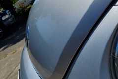 bug-hood-clean