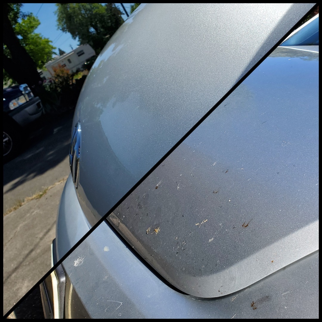 VW Hood 50-50